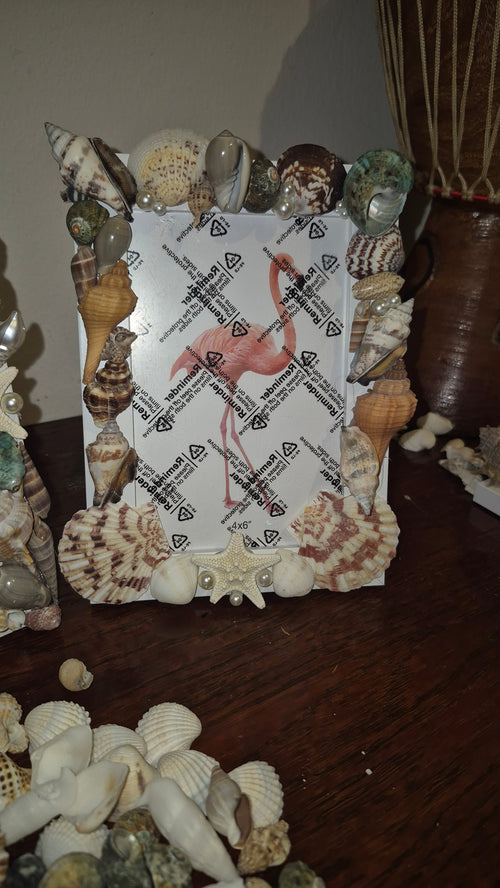 Sealife Picture Frame